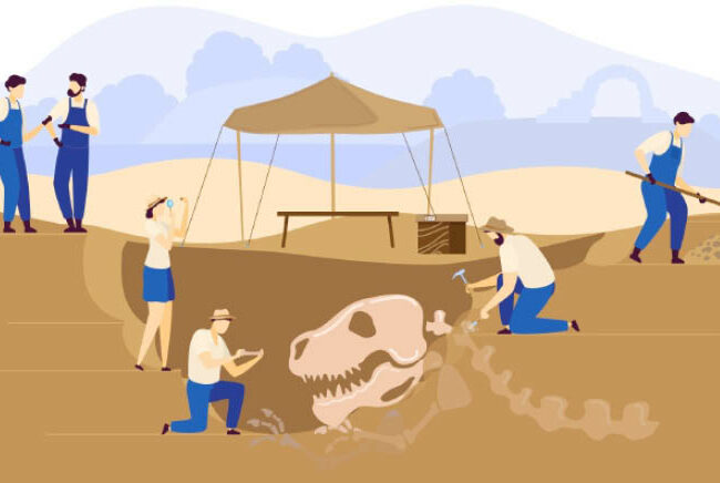Tips to becoming a palaeontologist