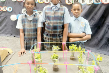 Premier International School students promote recycling in science fair