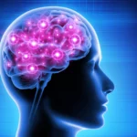 Things that can enhance your brain function