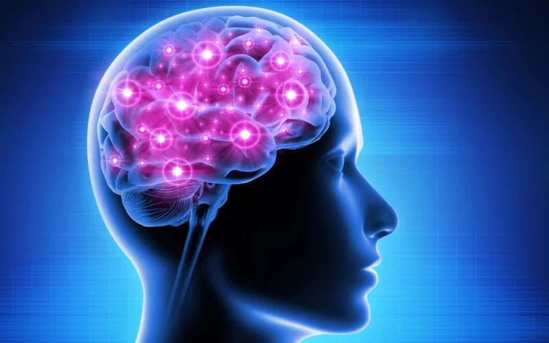 Things that can enhance your brain function