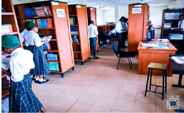 Students of Key Special Academy, Gwarinpa, Abuja making research in school Library